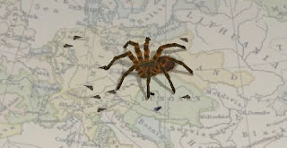 spider flashgame spider flashgame